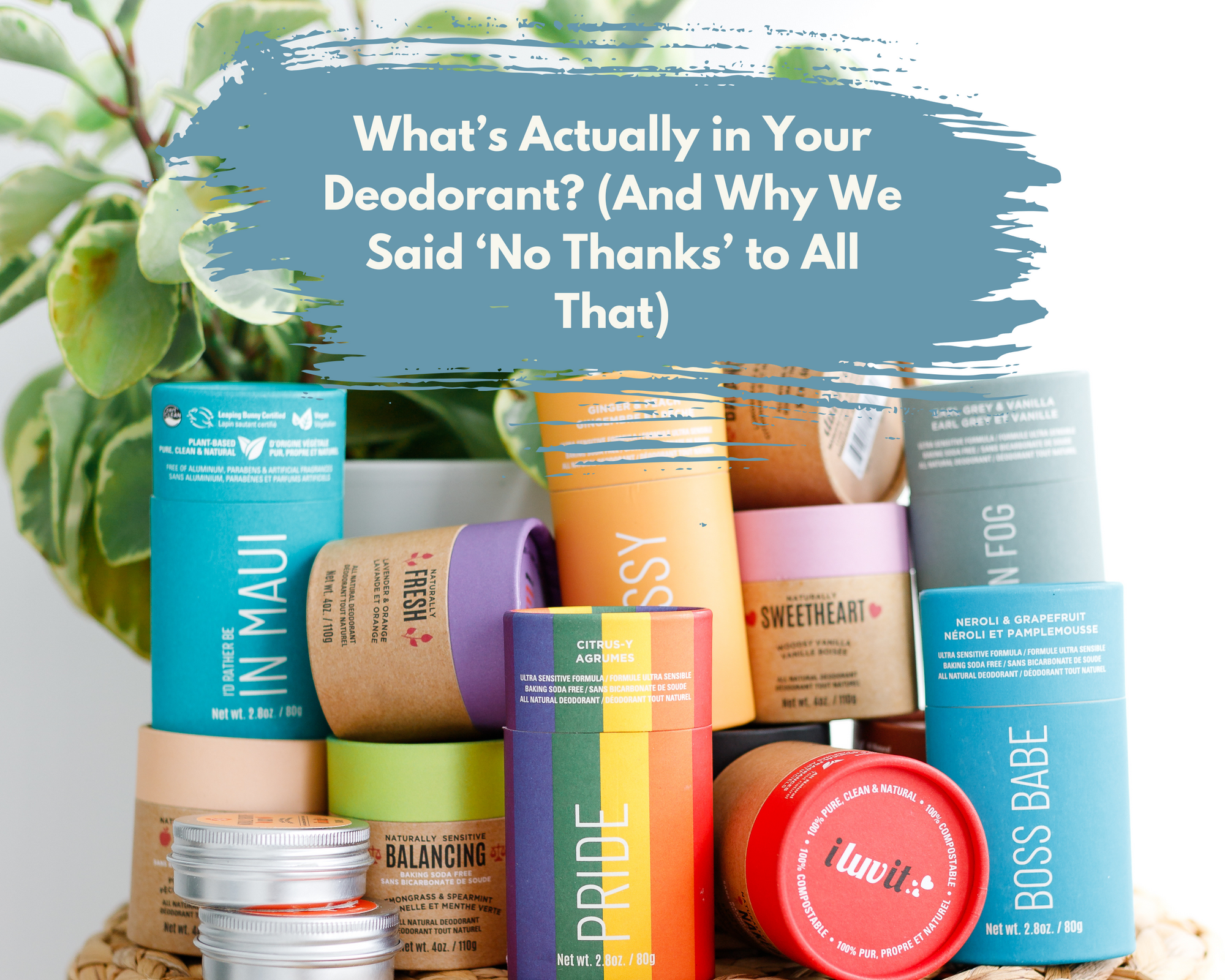 What’s Actually in Your Deodorant? (And Why We Said ‘No Thanks’ to All That)